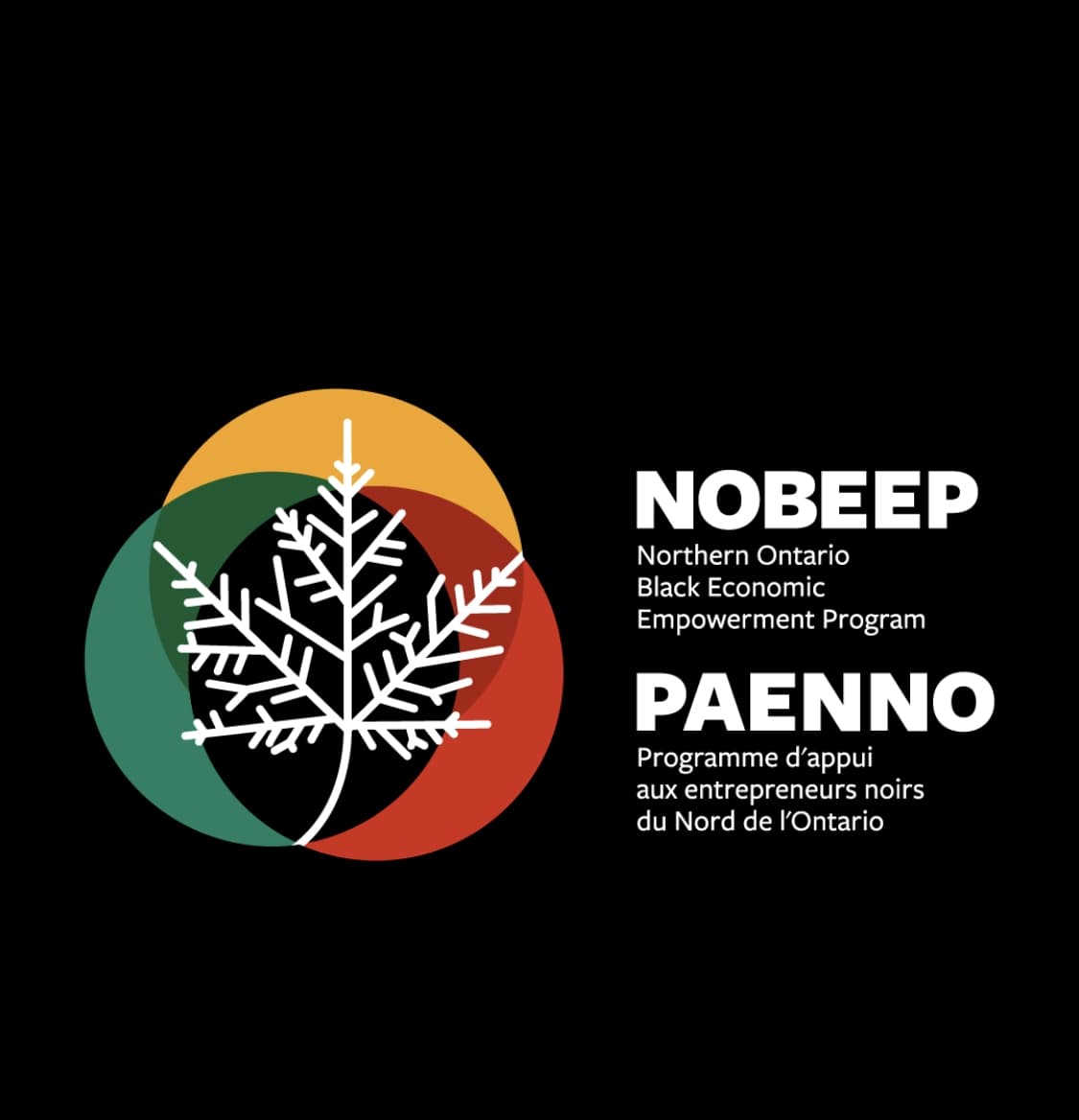 Northern Ontario Black Economic Empowerment Program / NOBEEP logo