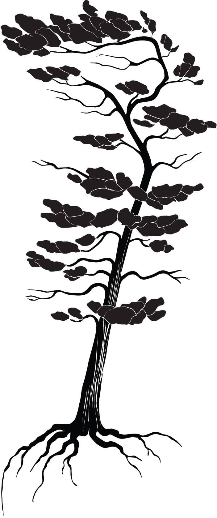 Pinetree Catering logo