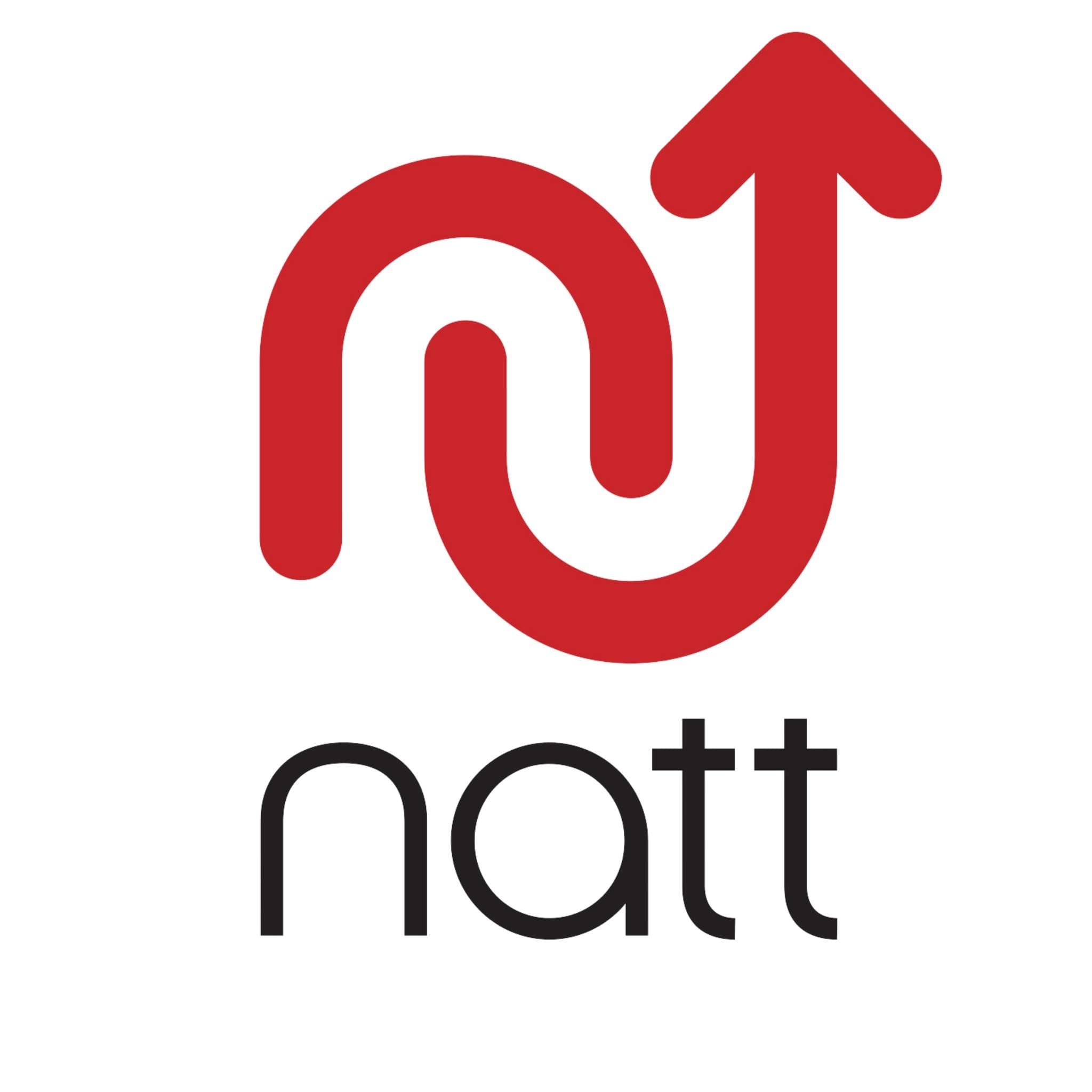 Natt Group logo